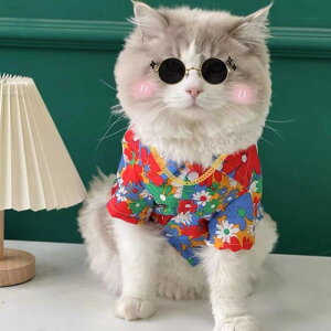 hbOEFA ^p Lp t  ԕVc AnVc J݃Vc r[`EFA ][g JWA U |GXe ViEU[ R[M[ pO rVt[[