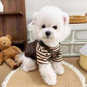 hbOEFA p t H~ g [NxXg }[hJ[ N[ m[X[u n[lX̌^  Jt |GXe uE U o JWA