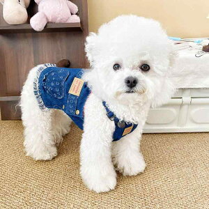  ^ fj TybgXJ[g Ȃ 킢 􉽕 c |GXe gCv[h }`[Y [NV[eA H~ U o