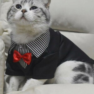 ybg  Lp 畞 tH[}EFA lN^C X[c ^LV[h  EFfBO p[eB[ LOBe |GXef efB rV ViEU[  