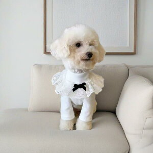 ybg ~p ^ L nClbN jbg Ci[ Z[^[ ۉ h  |GXe rVt[[ gCv[h r^Cv 킢 vZX