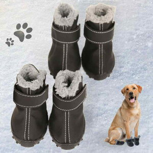 pV[Y ^ ybgp N h ۉ \tg\[ ~ Eɂ ی h~ h Cu[c U o JWA PUU[ ubN