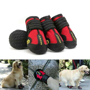 hbOV[Y ^p h ~ ϖՐ ʋC K v ی h~ U AEghA J̓ ̓ hbOu[c