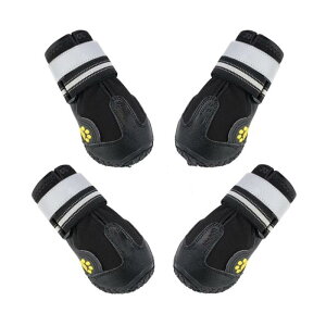 pV[Y ^ S[fgo[ nXL[ S h h ~ ϖՐ  Cu[c U AEghA یp ubN