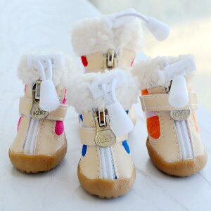 pV[Y ^ efB hbOu[c ybgC ~ Eɂ U[ v ی U AEghA JWA ʔN