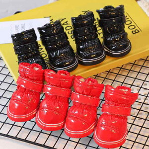 pV[Y ^p ~p ۉ Eɂ 4Zbg Rbgu[c ybǧC gCv[h rVt[[