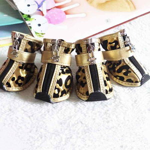 pC ^ gCv[h hbOu[c CV[Y JC h h~ ~ PUU[ U op uO[ [YsN u[