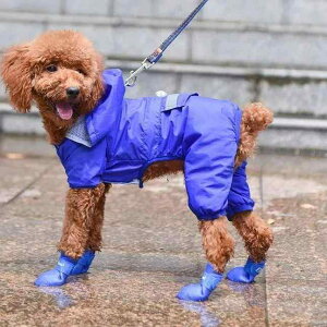 pV[Y hbO Cu[c JC ~ h h PU }WbNe[v Up 킢  JWA u[c ϖ