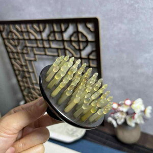  Βh h rp z[ VR؍ }bT[WR[ PA XJv si 61{ Onh  c fC[PA