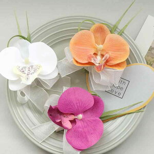  Ӓ EFfBO  rWlXT JƏj QXg RT[W u[gjA Xgu[P z i Mtg(x2)