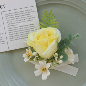 EFfBO VYVw RT[W u[gjA Xgu[P   I 񎟉 QXgp uC_ANZT[  z F CG[(x2)