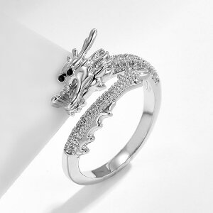 w fB[X CN `[t x I[vO lwO VN  IfUC AWX^u  Vo[ dCbL g t@bVANZT[