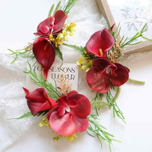 RT[W EFfBO  uC_ QXg o Xgu[P Xgbg bh  J[ I_JCE R`E Ӓ  A[gt[ tFCNt[ I 