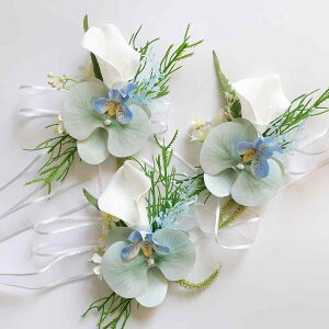   EFfBO I QXg  RT[W u[gjA Xgu[P Xgbg zCg u[   J[[ Ӓ i GKg ؂₩ z t@ubN