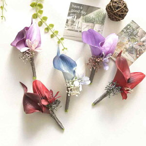 RT[W u[gjA  `[bv J[  EFfBO I p[eB[ QXg o Ǝ w Zj[ tH[} Cxg  GKg i LxȃJ[