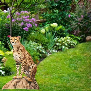 K[fsbN qE  `[t AN vg Op  Ő  fR[V n} AJJg[ K[fjO ACe(x2)