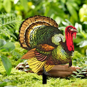 K[fsbN [gACA   j[N A { ʒ `[t O iϑ S H|i n AJ Jg[(x2)