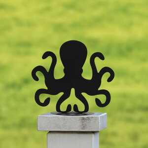 뉀 |XgLbv ^ INgpX IuWF K[fjO I[ig O tFX p  j[NfUC (x2)