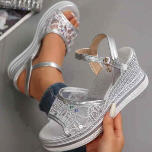 T_ fB[X XgbvobN EFbW\[  vbgtH[ nCq[ y K ₷ 傫TCY rbOTCY PUU[ EhgD  ؍ 