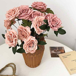  o 7 Jv`[m t  VNt[ tFCNt[  rO Q ԕr  EFfBO u[P ԑ