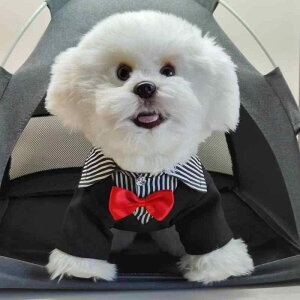  ^ tėp lN^C {E^C d˒ X[c tH[}EFA ^LV[h CMX |GXe U Cxg  LOBe bh ubN