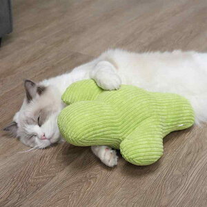 Lp T{e  NbV ʂݑf ӂӂ ނ  ܂Ƃ XNb` L炵 Lbgjbv ܂ XgX ybgObY