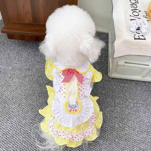 ybgphX Lp ^ ^ gCv[h efB t vZX Pl [^ B^  s[X m `[t S[hC  |GXe