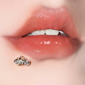 {fBsAX jZbNX jp XeX }[L[Y WRjA }CNpF bv wbNX sAX 1.2mm AE^[lW dCbLH Vo[J[ t@bVA