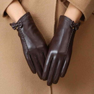  fB[X rv {v V[vXL U[ O[u ~p N  h ۉ g 킢 TCNO oCN ^] ʋ(x2)