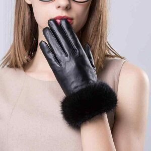  fB[X p ~ {v rv U[ ~Nt@[ N ۉ h   i GKg  l fC[[X(x2)