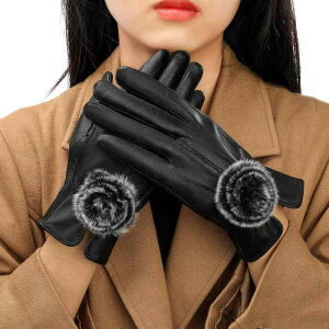  fB[X  rv {v U[ h h ۉ N ~ oCN C_[ TCNO O[u ubN u[ bh(x2)