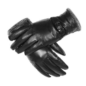  fB[X H~ V[vXL rv {v U[O[u N  ۉ h h g t@[t oCJ[ ܖ{w ubN Vv ʋ ig 