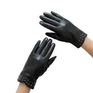  fB[X rv {v X}zΉ h h AEghA oCN ] TCNO ʋ ʊw ~p g O[u rbgt@[t Vv JWA 