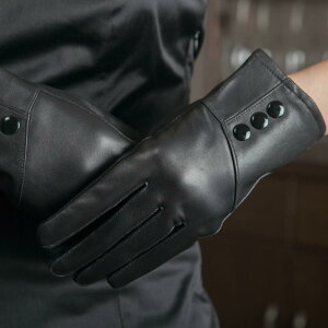  fB[X p O[u rv {v U[ N  ۉ h ~p ^] hCu TCNO oCNp VGbg tBK[O[u(x2)