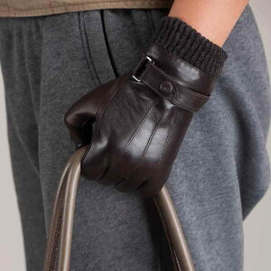  Y O[u jp erv {v U[  h h oCN CfBO ʋ ʊw ] AEghA g  ۉ H~  ㎿