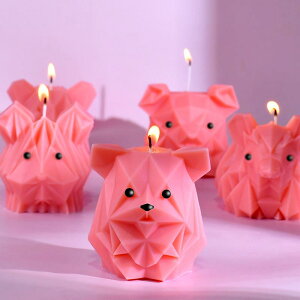 A}Lh[h VR ^ DIY Ntg 􉽊w  ܂莆 IuWF  A}Xg[ ΍p  L F (x2)