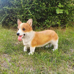 u 킢 A R[M[  q IuWF  fXN K[f  O CeA  Mtg