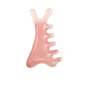 v[g }bT[WR[ sN 4WAY @\   oPA ڌ @ VR RpNg gїp e wXPA