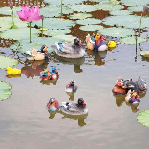 K[fI[ig u IuWF  PU IVh vw yA 2CZbg  V   r 뉀 K[f  ANAE eE CAEg A  fR[V