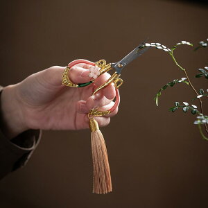 nT~P[X z VU[P[X p |p ^ ѐD g ԕ tW ^bZ ی [ |[` i 