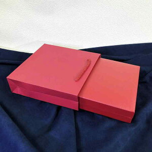 WG[{bNX S[hJ[ ݃`[t ANZT[P[X ~` f   [P[X bL[ACe LO v|[Y v[g(x2)