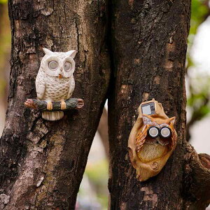 K[fI[ig tNE \[[Cg  ݂艺  _   GNXeA fR[V 킢 IuWF