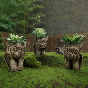 Aؔ  fr`[t  v^[ K[fI[ig A ~ ϗtA 킢 Ȓ뉀 y |pi u  x_ Op