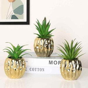 A tFCNO[ k AȎ CeA IuWF   rO ItBX ֗p F ~jϗtA AG @ 