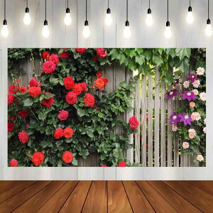 ^yXg[ Ǌ| EH[fR[V CuzM wiz Be wiz z r[`^I @\ |GXe ԕ {^jJ [t 唻 rO Q CeA