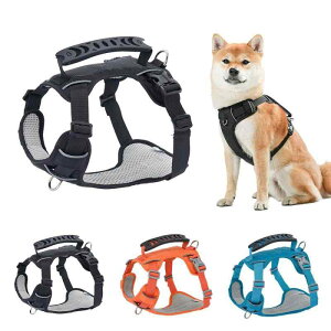 ���p�n�[�l�X ���^�� ���^�� �x�X�g�^ ���� �|���G�X�e���f�� �L�k�� ���ˍޕt�� ��Ԉ��S�΍� ���U�� ���o���� ���[�h�Z�b�g �u���b�N �I�����W �u���[