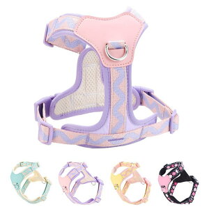 pn[lX xXg^ Eh~ ɂ [h Zbg TCY߉\ Ԕ tN^[ |GXe U o S y p[v ubN CG[ ~gO[