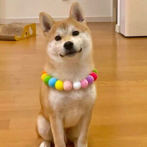 ybgANZT[ L ^ q qL  lbNX `[J[ Jt || ы 킢 L[g  ig U  Lp Aj F