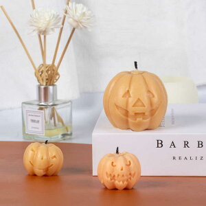 [h nEB J{` VR[^ Lh 낤 A}Xg[ ΍pNtg DIY  nhCh CeA  HiO[h ϔM ėp\ u