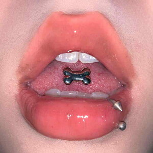 sAX jp T[WJXeX ̍^ hbO{[`[t  ׂ Iׂ2^Cv OlW dCbLH 킢 {fBANZT[ ig JWA